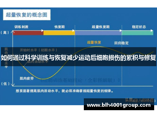 如何通过科学训练与恢复减少运动后细胞损伤的累积与修复