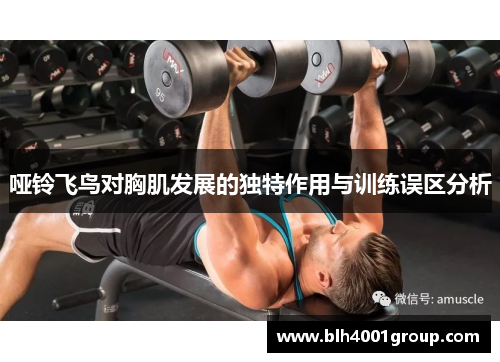 哑铃飞鸟对胸肌发展的独特作用与训练误区分析